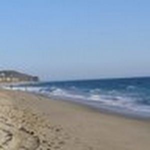 Meet your Posher, Merrill